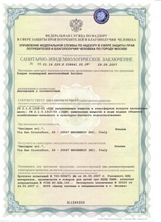 Заключение СЭЗ